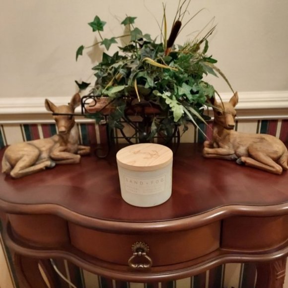 Sand & Fog Tropical Citrus 12 Oz. Candle Decorative Wood Top NWT - Picture 1 of 8